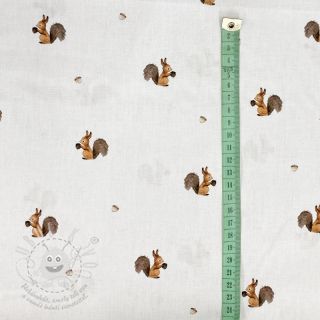 Bavlněná látka Squirrel white digital print