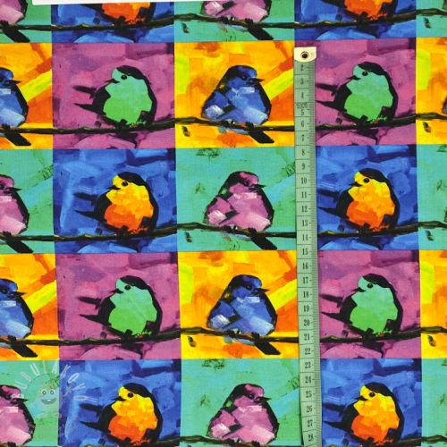 Úplet Funky rainbow birds digital print